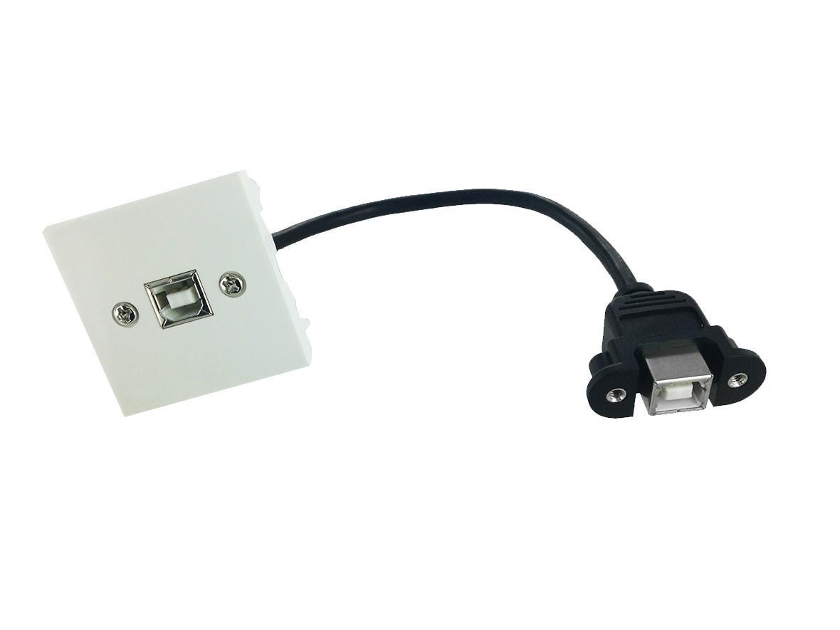 Plastron 45x45 USB2.0 B F vers F - 0.20m - EOL