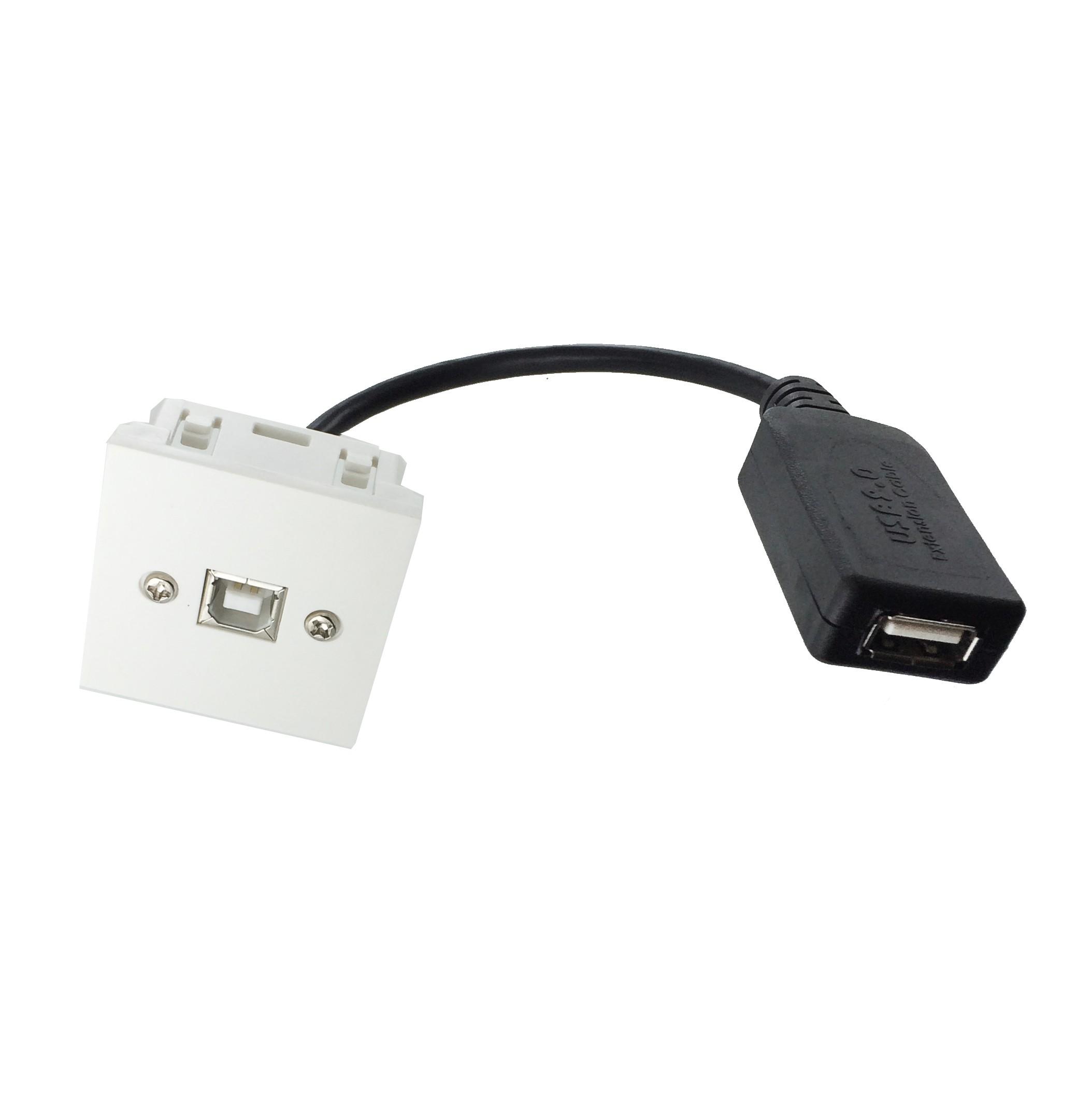 Plastron 45x45 USB2.0 B F vers USB A F Amplifié – 0.20m