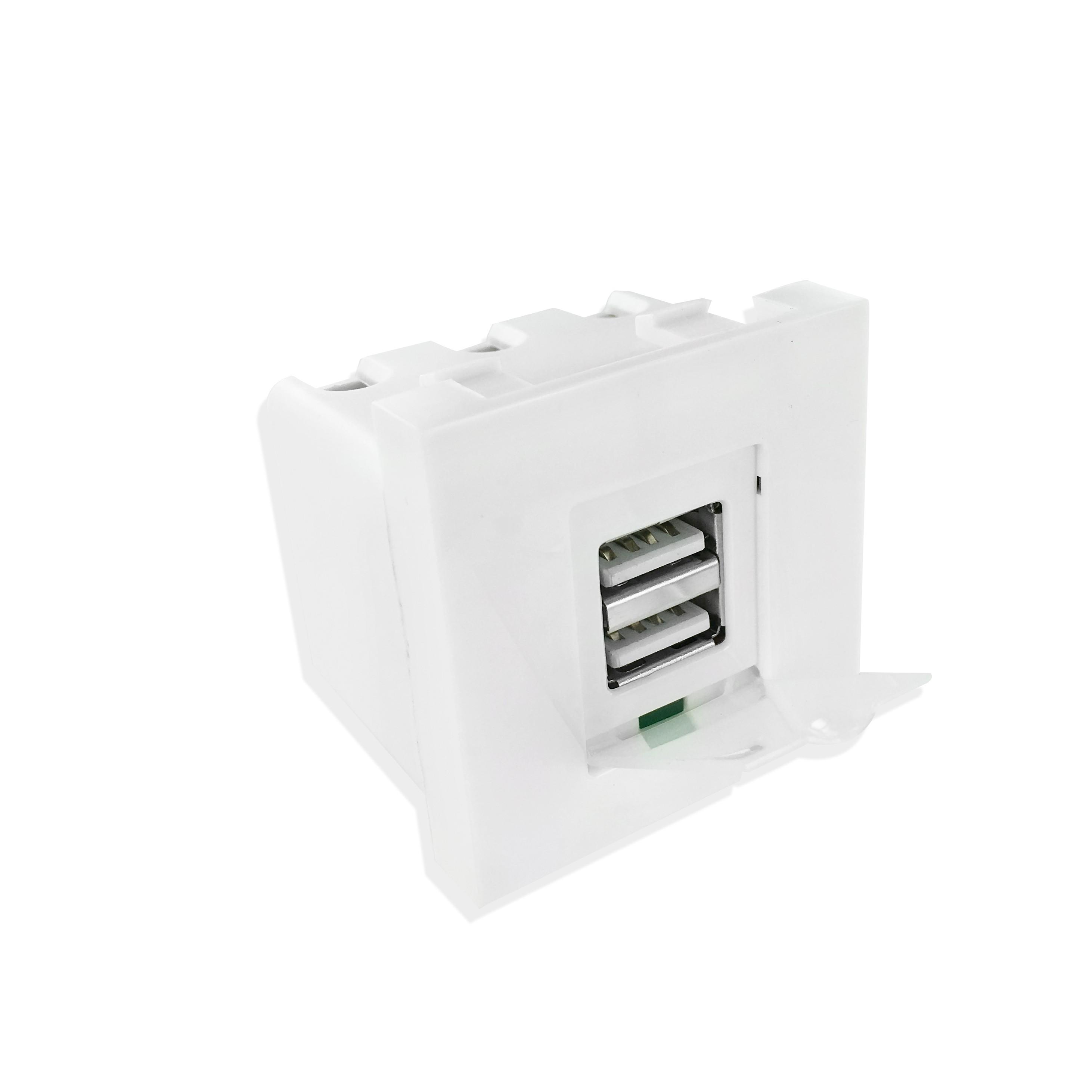 Plastron 45x45 Chargeur USB 2 sorties type A F - 230V vers 5V 2.1A