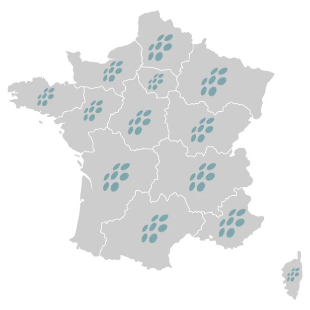 carte neklan